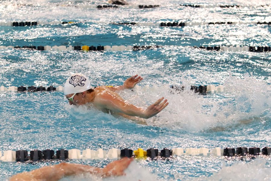 Senior Anthony Molinaro races with his arms pushed back. Molinaro placed third in the 50 yard freestyle.