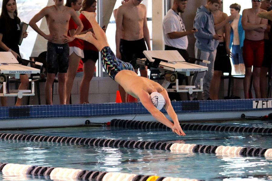 Arms forward, senior Anthony Molinaro dives in to start the event. 