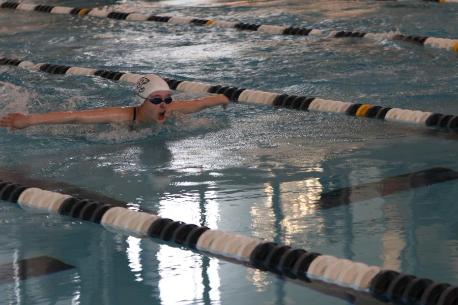 Resurfacing for a breath, sophomore Halle Nelson swims the 100 meter butterfly down the lane.