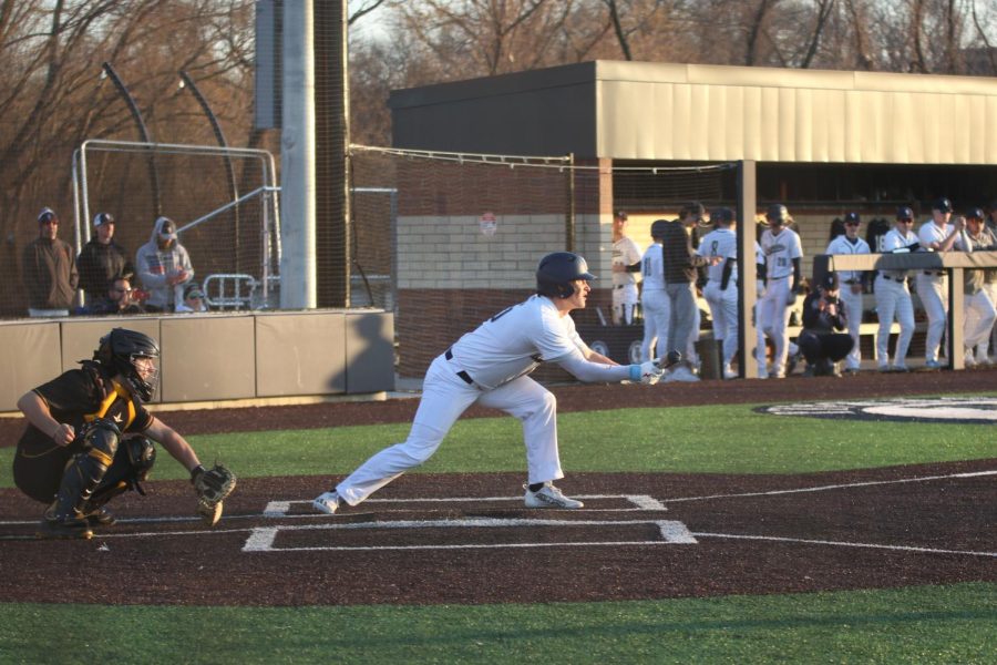 Watching the pitch, junior Reid Livingston bends down to bunt the ball.