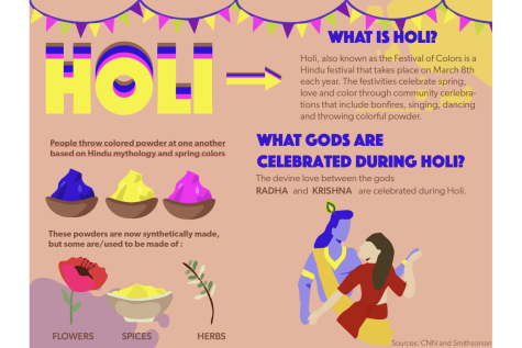 Image result for Colorful Creations: 5 Unique Holi Celebration Ideas infographics