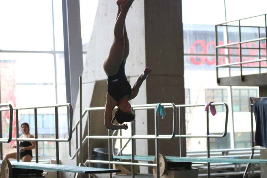 Twisting in the air, senior Eden Hakes flips off of the diving board.