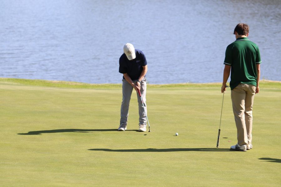 Senior Matt Morgan focuses on the ball as he putts it into the hole. 