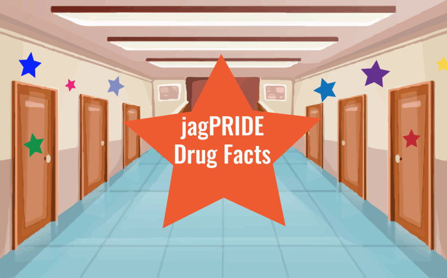 JagPRIDE+hosts+drug+facts+hunt+event+to+spread+awareness