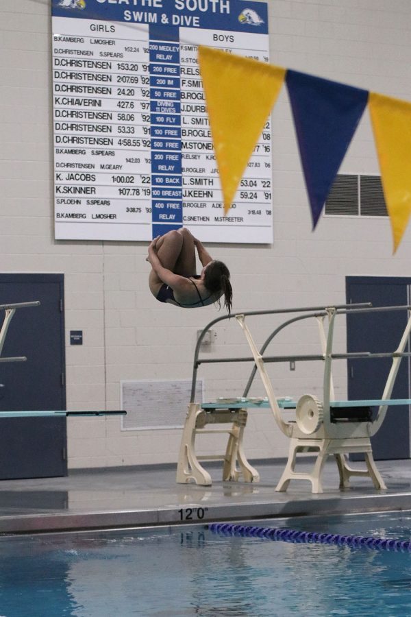 Jumping off the diving board, senior Eden Hakes does a flip into the pool.