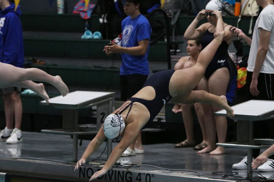 Pushing off from the platform, a swimmer dives into the pool. 