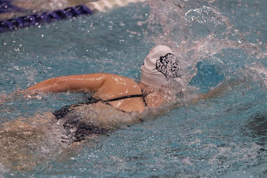 Heading back to where she began her race, a team member swims fiercely across the pool. 