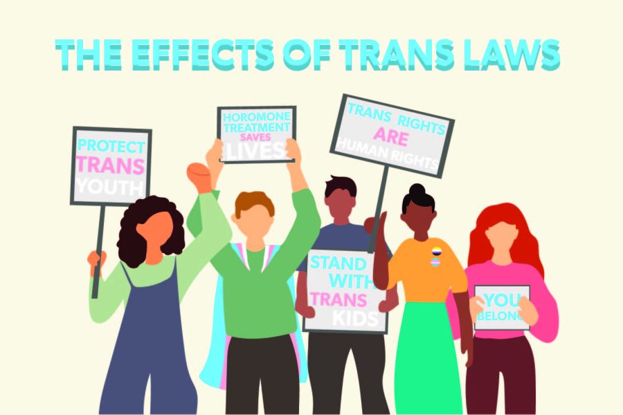 Trans Bill Effects