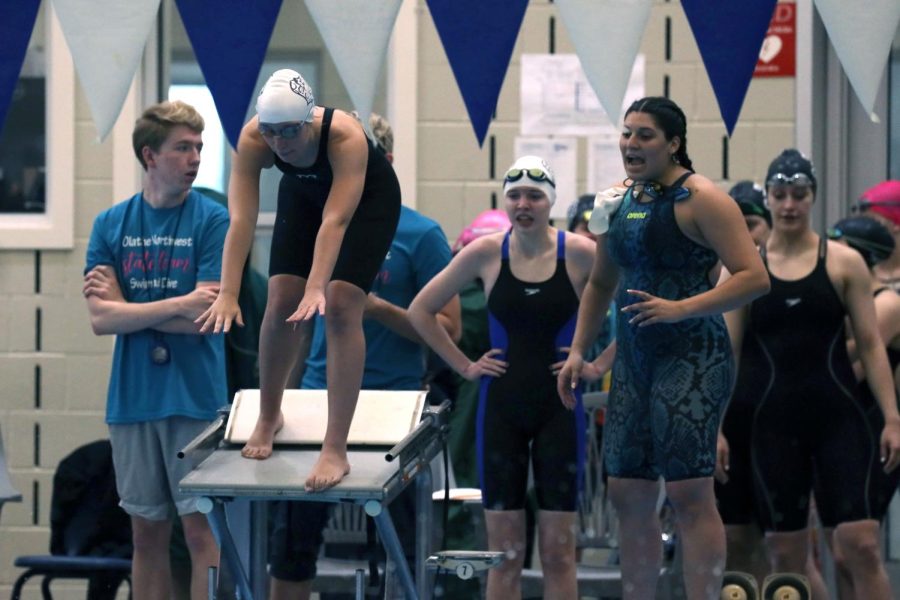 Participating in the 400 meter freestyle relay, junior Reagan Enemark prepares to jump into the water.