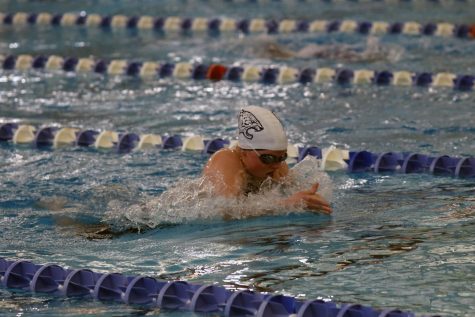 Focused, senior Halee Evans breast strokes down the lane. 