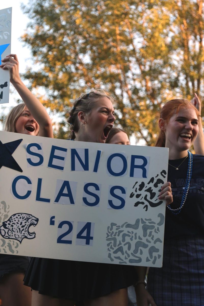 Beaming in school spirit, senior Allison Mulder yells chants on top of the senior class float. 