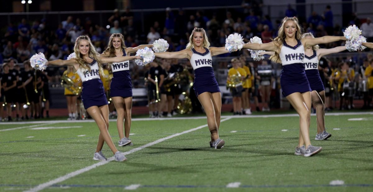 With their arms out, the Silver Stars perform during halftime.