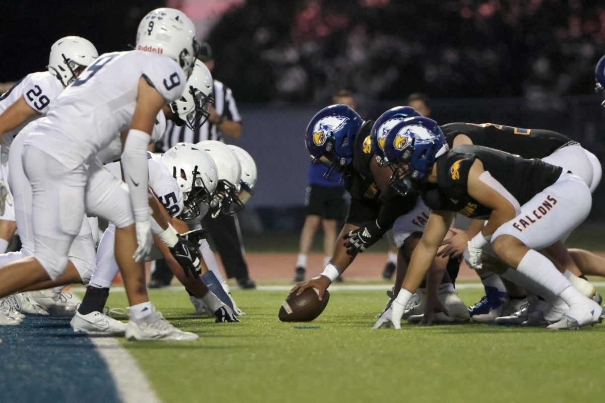 Making a goal line stand, the defense lines up in an attempt to stop the touchdown. 