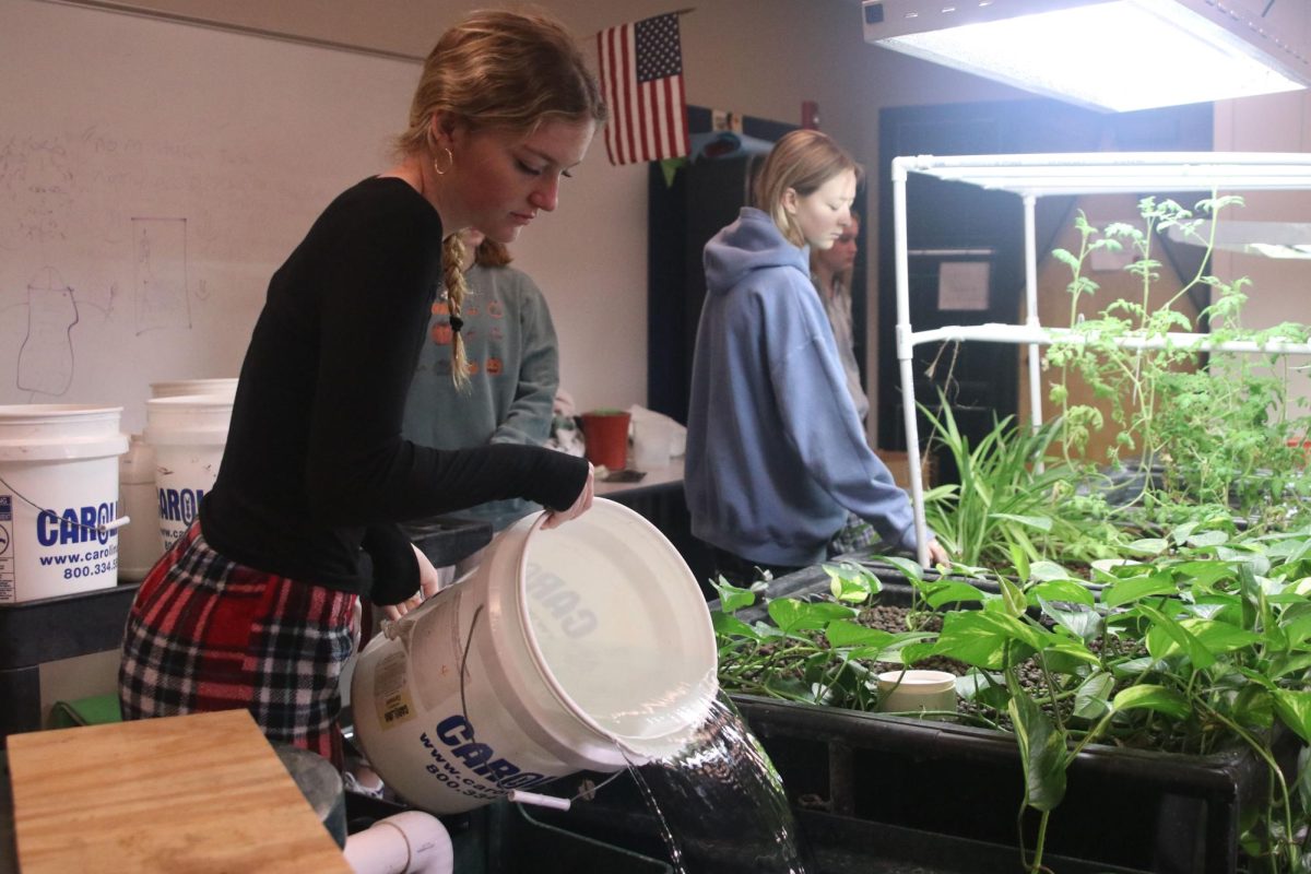 Junior Juliya Laws refills the water level for the aquaponics system.