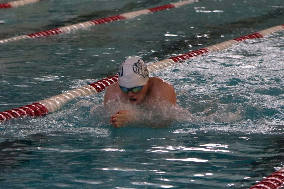 Preparing to go under, senior Gabe Budimlija swims breaststroke.