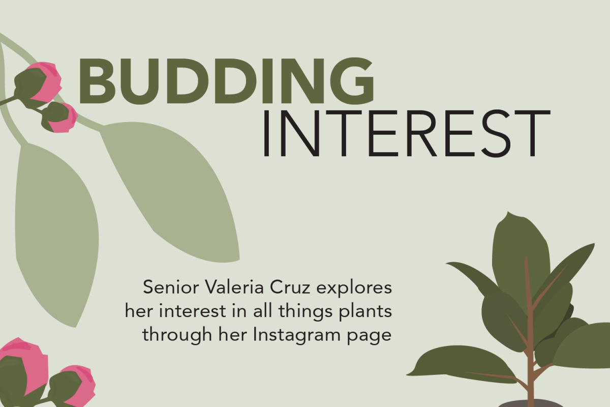 Senior Valeria Cruz uses Instagram to share her plants