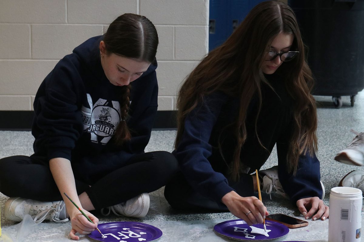 Working together, juniors Reese Miller and Seville Skinner paint their plates.
