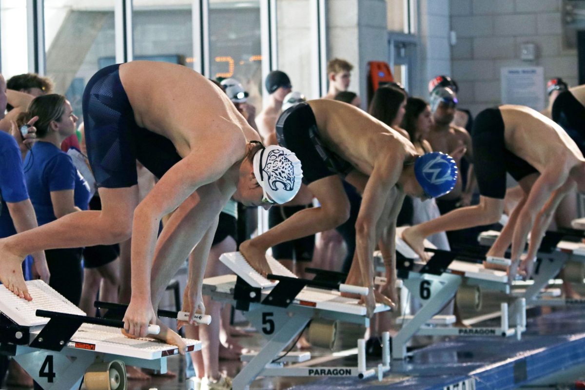 Waiting for the heat to start, junior Sawyer Clark prepares to jump into the water.