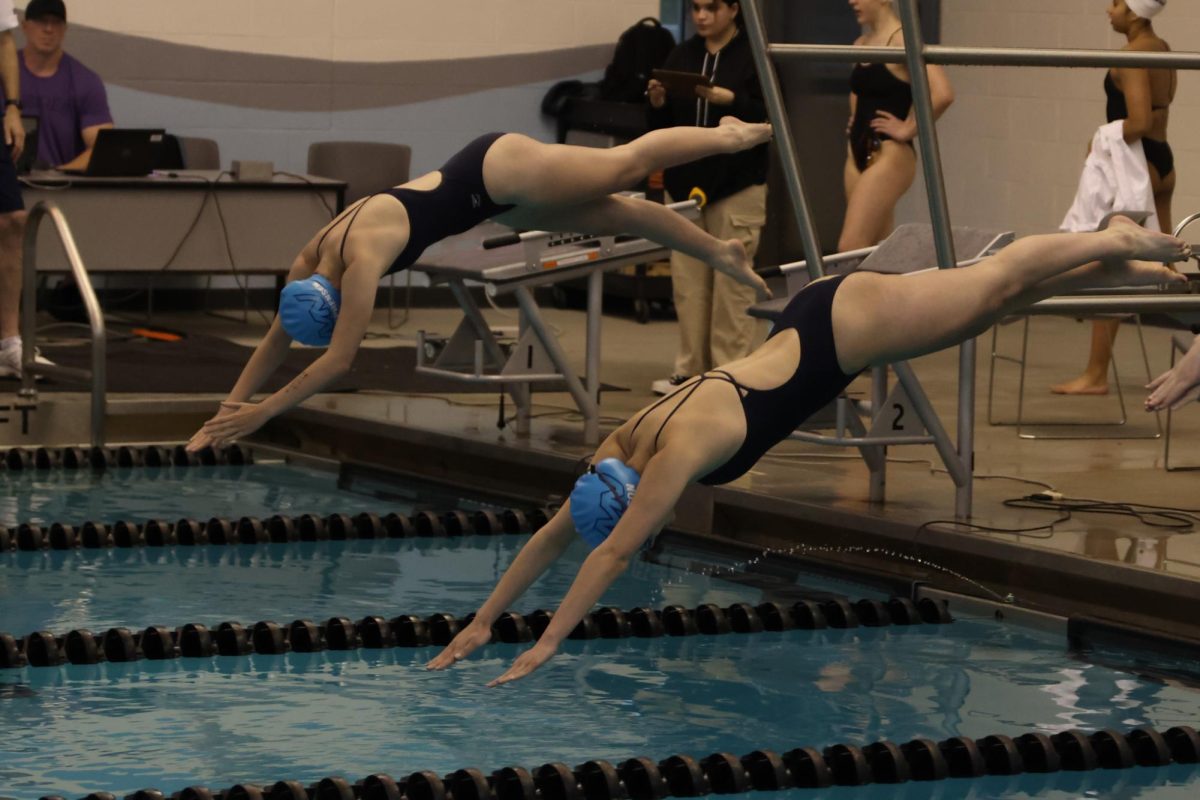Diving into the water, junior Halle Nelson and sophomore Hannah Stephensen ready themselves for their heat.