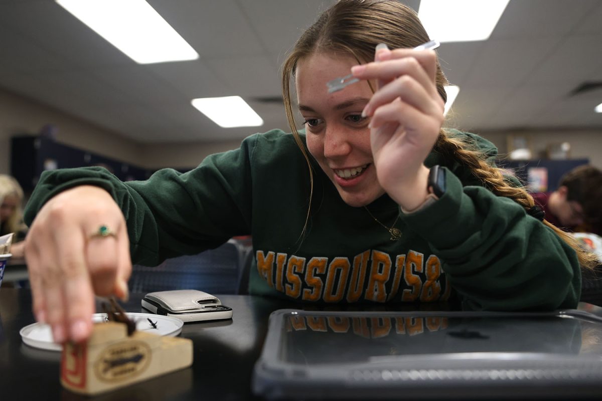 Smiling, Senior Elise Davis carefully pins a grasshopper. 