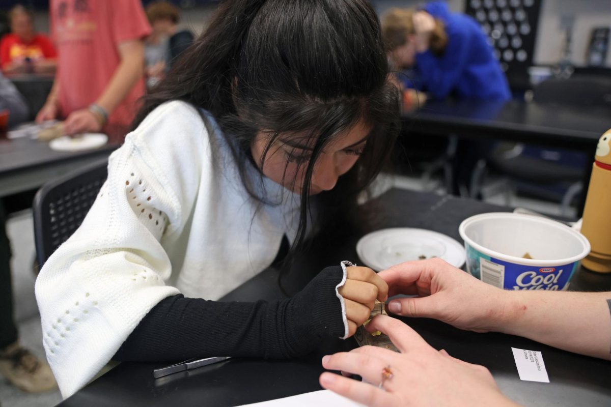 Getting help from her teacher, senior Katie Umana pins a bug on the block.