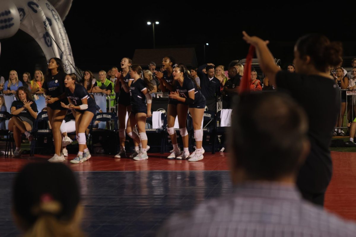 The varsity volleyball sideline erupts after a massive play.