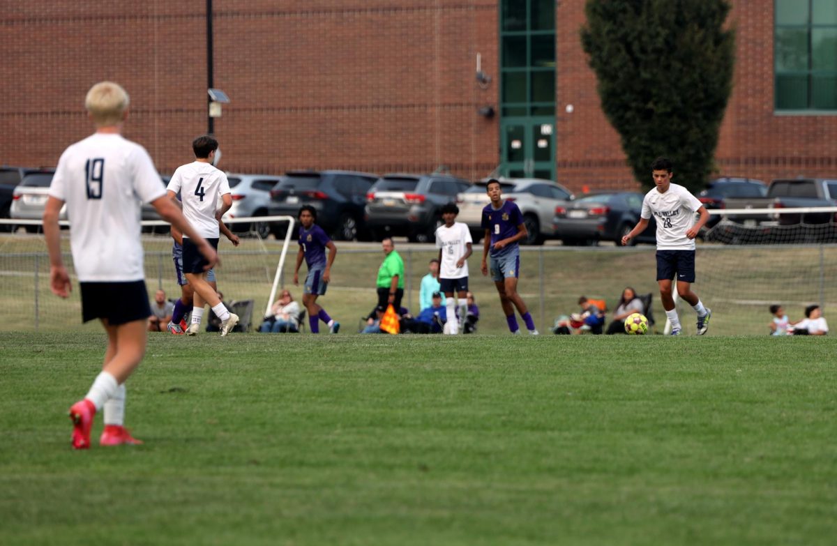 Players work together to get a goal. 