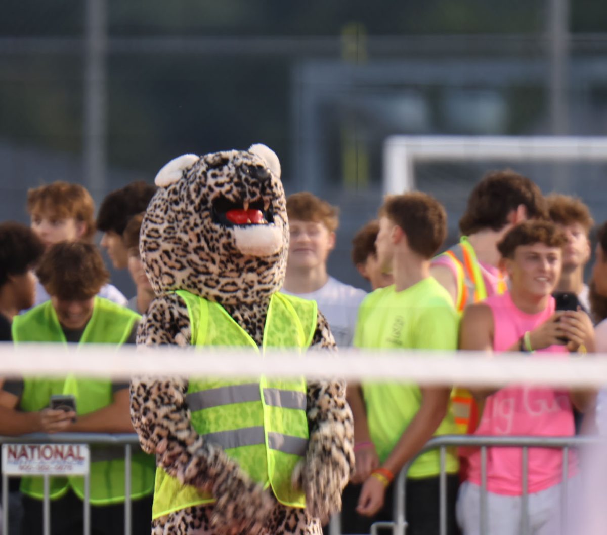 JJ the Jaguar stands with the audience to hype up the JV volleyball team before a set.
