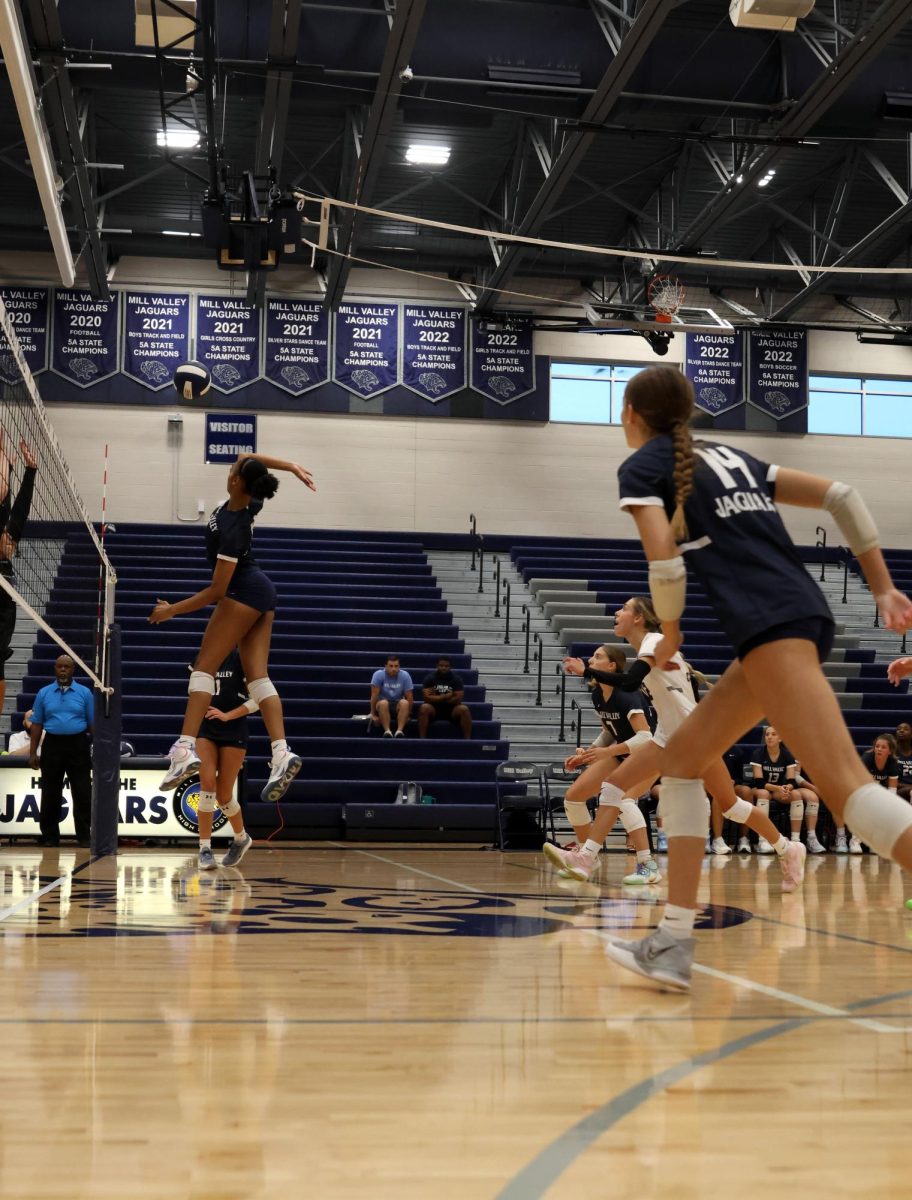 Hitting to kill, senior Leilah Perry attempts to win the point.