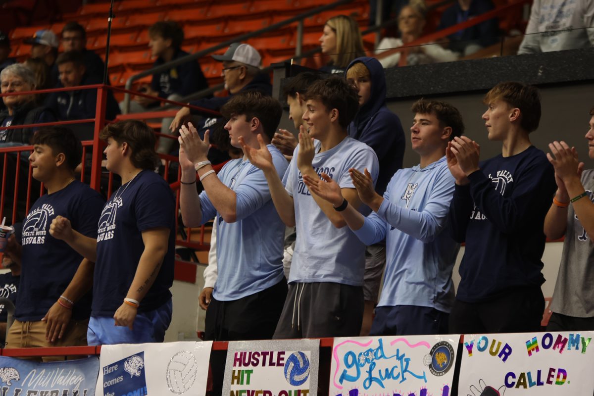 Jaguar fans cheer on the team in the third place match Saturday, Nov. 1.
