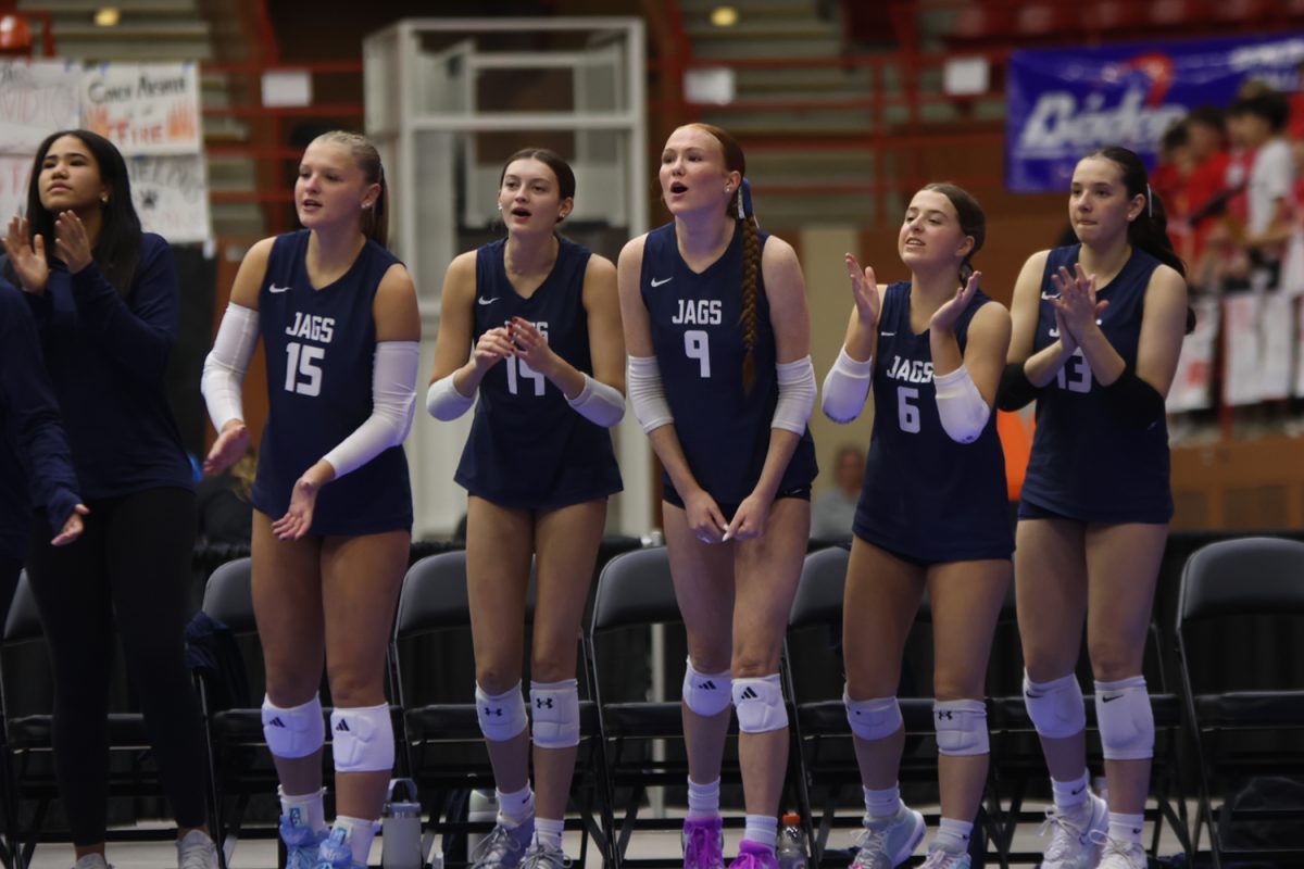 The bench celebrates after a point against Olathe Northwest. 