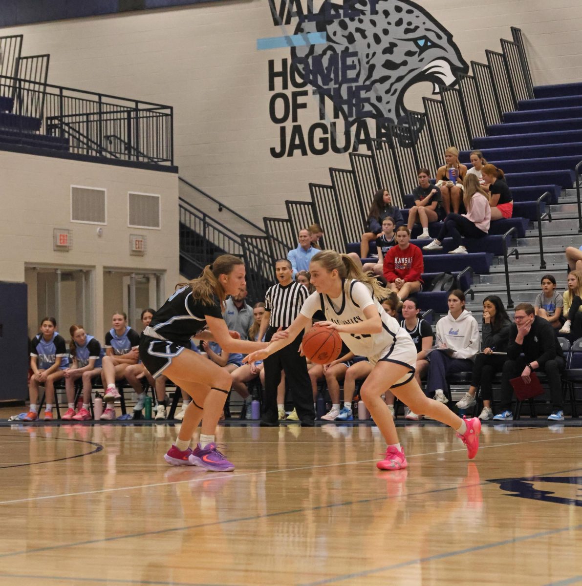 Dribbling by the defender, junior Riley Marshall sets up the play for the Jags, Friday, Feb. 13. 
