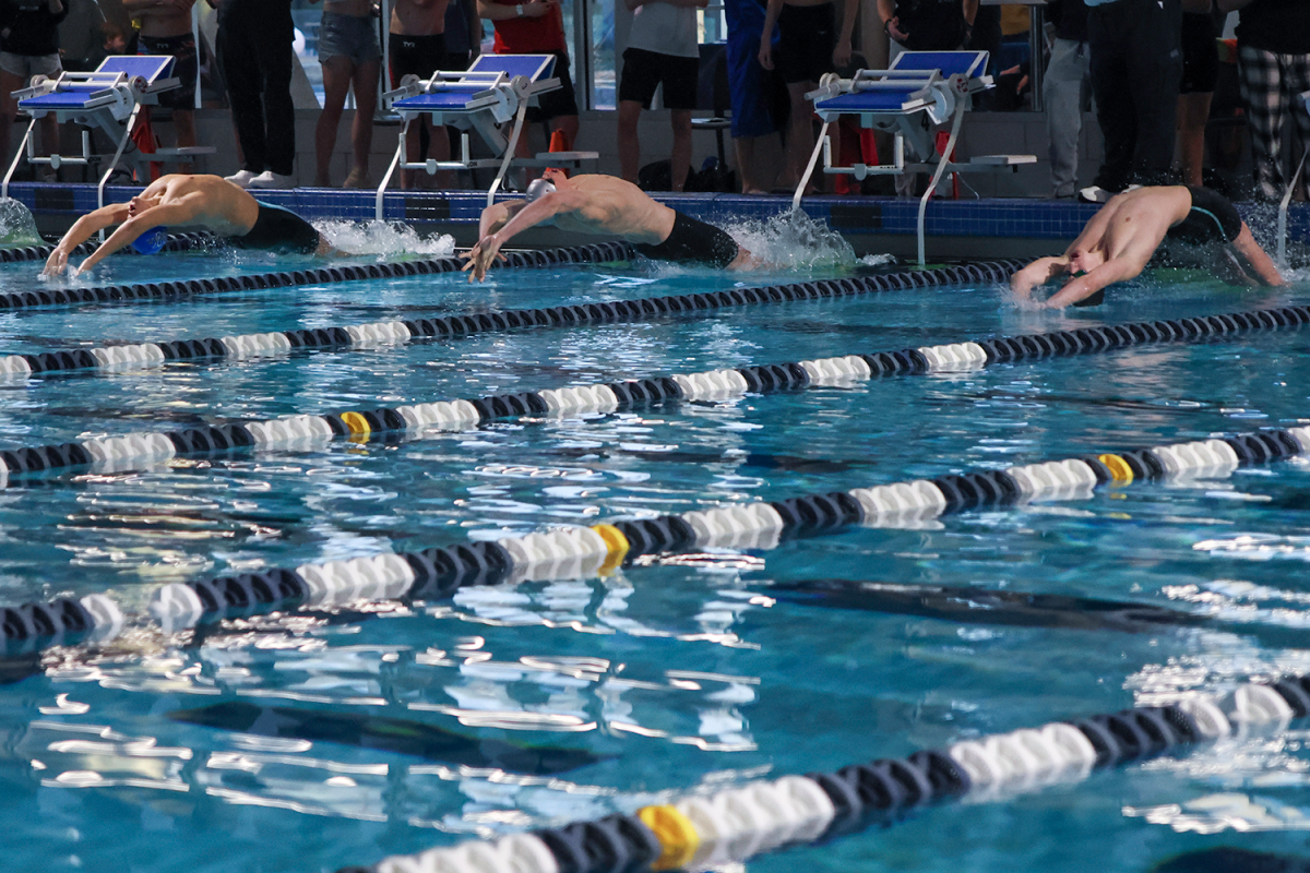 Junior Andrew Martin launches off at the start of the 100 meter backstroke