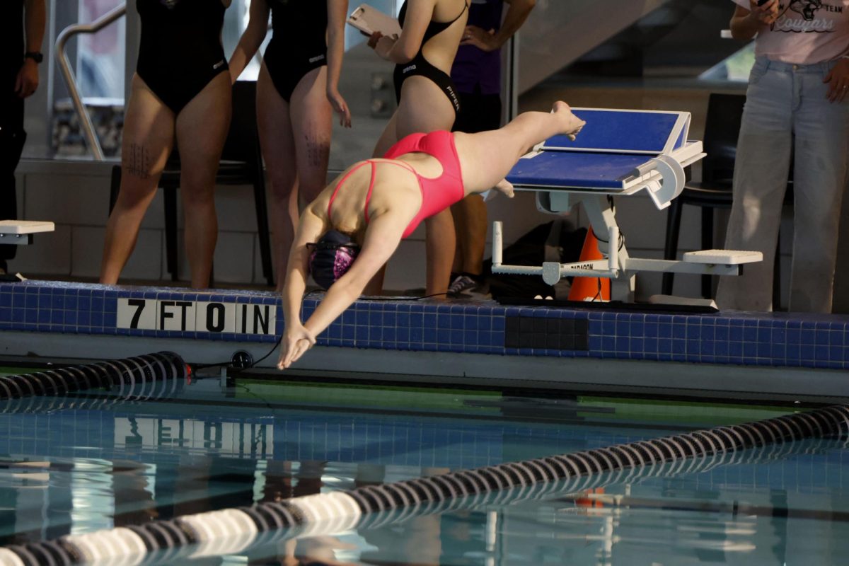 sneior claire cooper dives in one the first heat of a freestyle race on monday apr 13