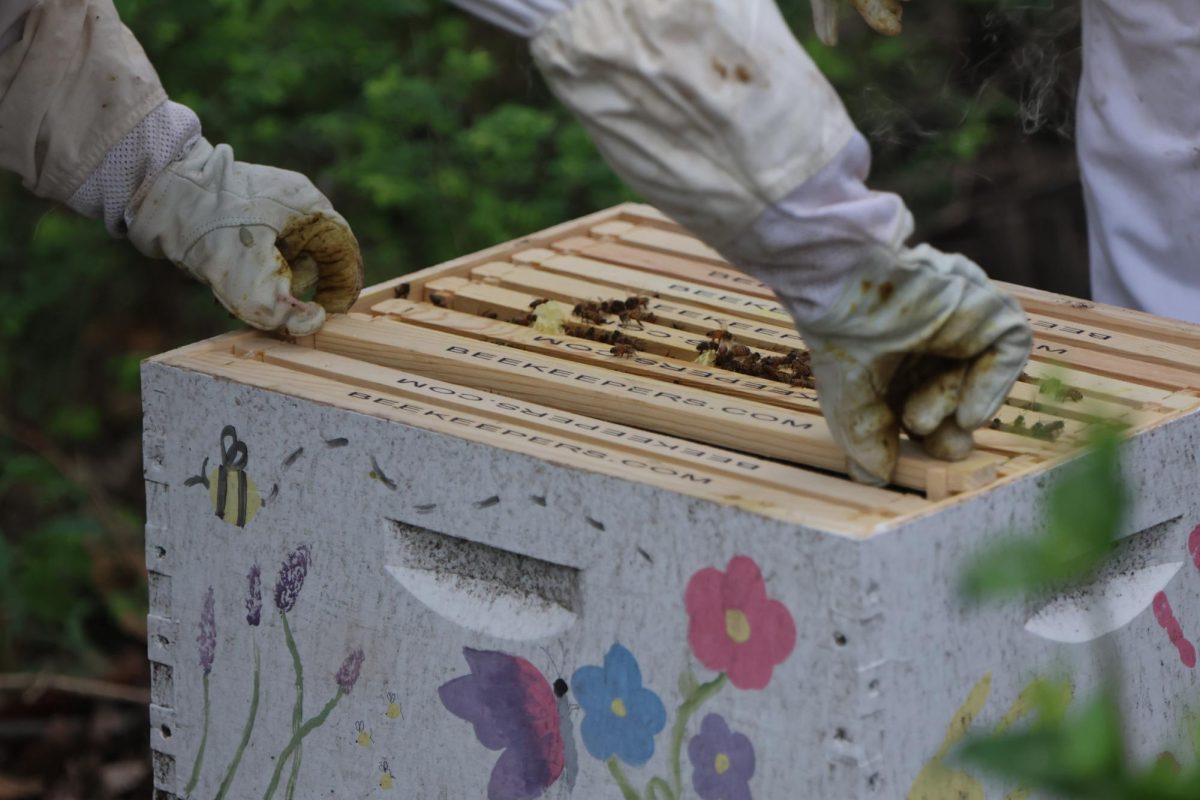 Wildlife science class prepares hive for new bees